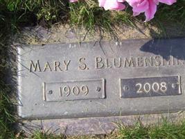 Mary S. Hensley Blumenshine