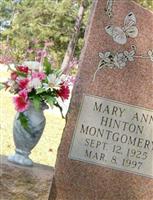 Mary Ann Self Hinton Montgomery
