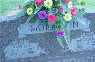 Mary Sue Morrison