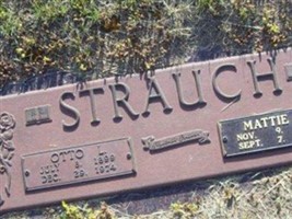 Mattie Malinda Orbin Strauch