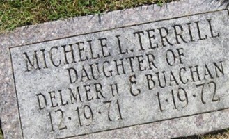 Michele L. Terrill Michele L. Terrill