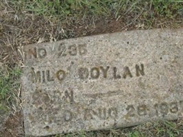 Milo Boylan
