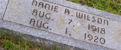 Nanie A Wilson Nanie A Wilson