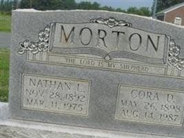 Nathan L Morton