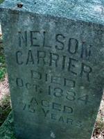 Nelson Carrier
