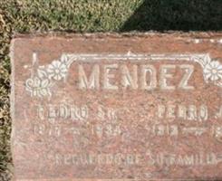 Pedro Ybarra Mendez, Sr