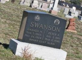 Peter A Swanson