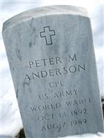 Peter M Anderson