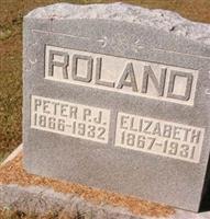 Peter P.J. Roland