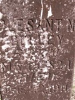 Plesant N. Gulley