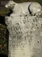 Ralph Sullivan