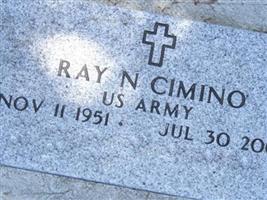 Ray N. Cimino