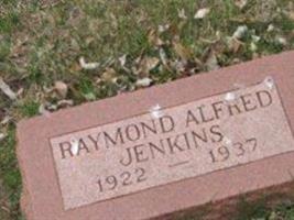 Raymond Alfred Jenkins