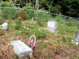 Riley Puckett Cemetery