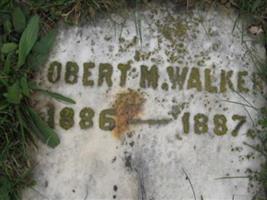 Robert M Walker
