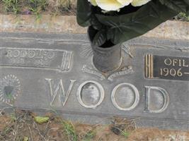 Rodolfo Wood
