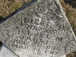 Roger P. Jarvis