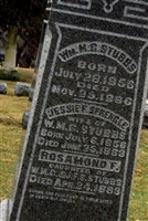 Rosamond F Stubbs