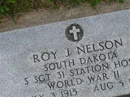 Roy J. Nelson