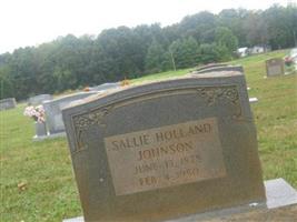 Sallie Holland Johnson