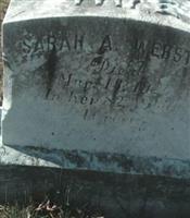 Sarah Ann Webster