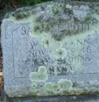 Sarah E. Potts Swann Sarah E. Potts Swann