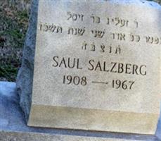 Saul Salzberg