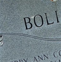 Sherry Ann Cope Bolin