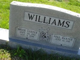 SSG Bruce Luster Williams SSG Bruce Luster Williams