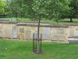 St Davids Park