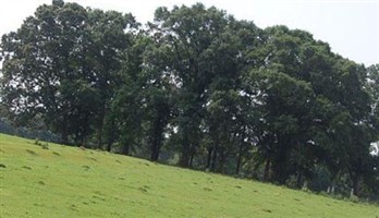 Steward Cemetery