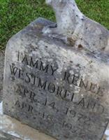 Tammy Renee Westmoreland