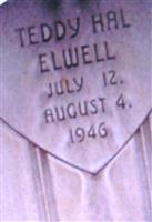 Teddy Hal Elwell