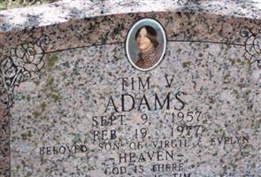 Tim V Adams