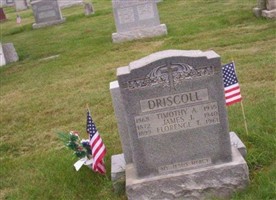Timothy A Driscoll Timothy A Driscoll