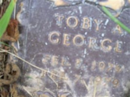 Toby A. George Toby A. George