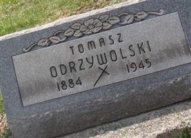 Tomasz Odrzywolski