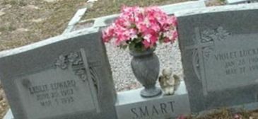 Violet Luckman Smart Violet Luckman Smart
