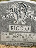 Vito Riggio