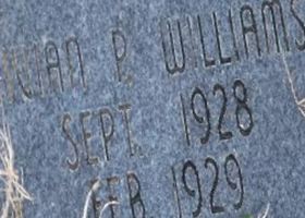 Vivian P Williams Vivian P Williams