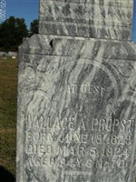 Wallace Alexander Propst