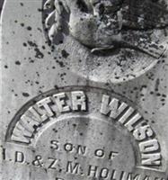 Walter Wilson Holiman