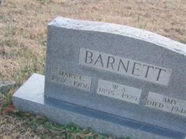 William A Barnett