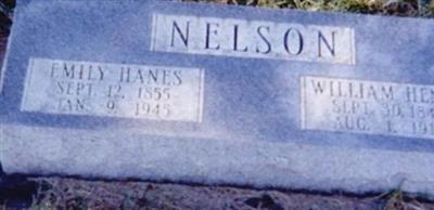 William Henry Nelson