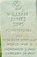 William James Sims