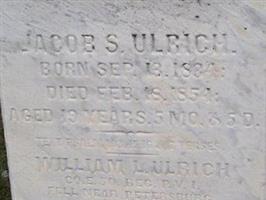 William L. Ulrich