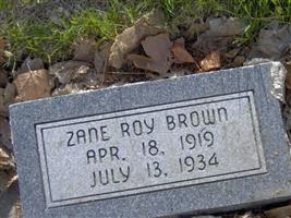 Zane Roy Brown