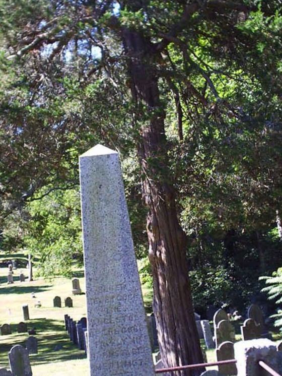 Lothrop Hill Cemetery Sysoon funeral directory [en]