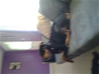 Anthony J Gwiazdowski on Sysoon