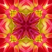 Joyce James on Sysoon